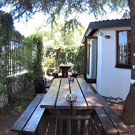 Kuru-Kuru Guesthouse Kuruman Εξωτερικό φωτογραφία