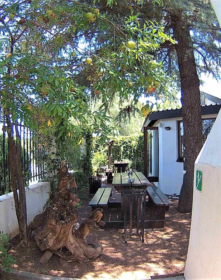 Kuru-Kuru Guesthouse Kuruman Εξωτερικό φωτογραφία